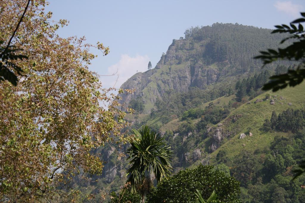 Village View Homestay Ella Buitenkant foto