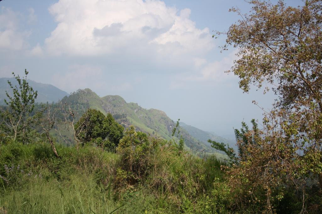 Village View Homestay Ella Buitenkant foto