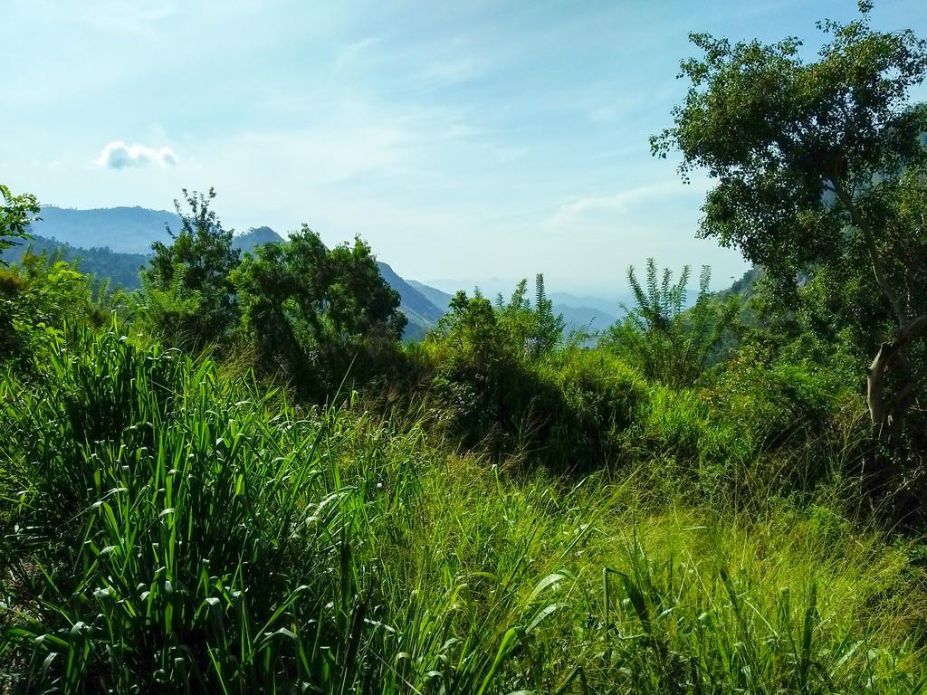 Village View Homestay Ella Buitenkant foto